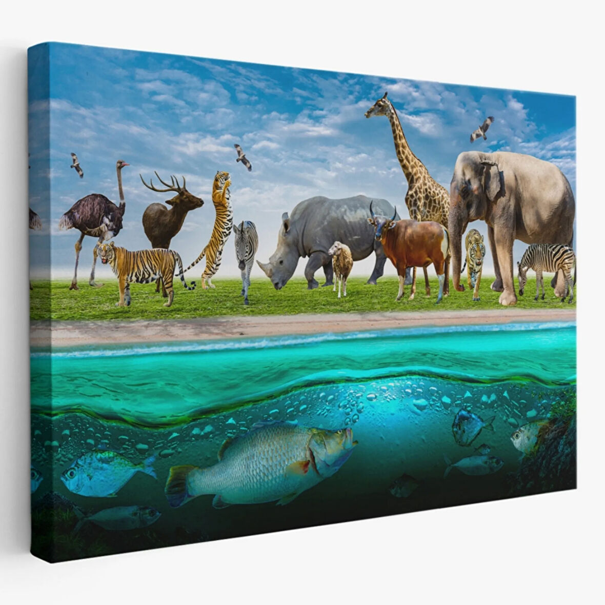 Hayvanlar Alemi, Hayvan Temalı Dekoratif Kanvas Tablo, Duvar Dekoru 1177