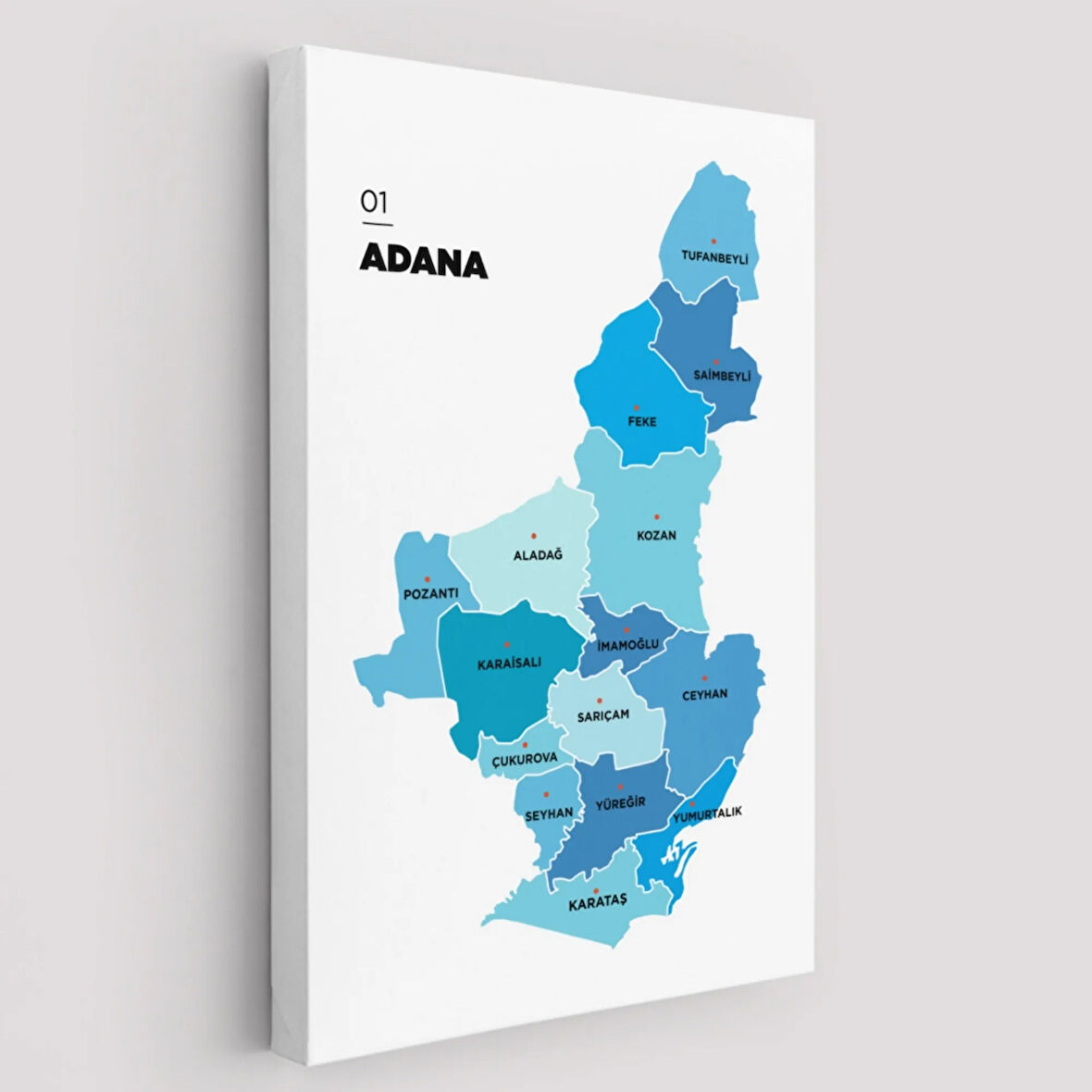İl ve İlçeler Haritası Adana, Modern Dekoratif Kanvas Tablo, Duvar Dekoru 1247