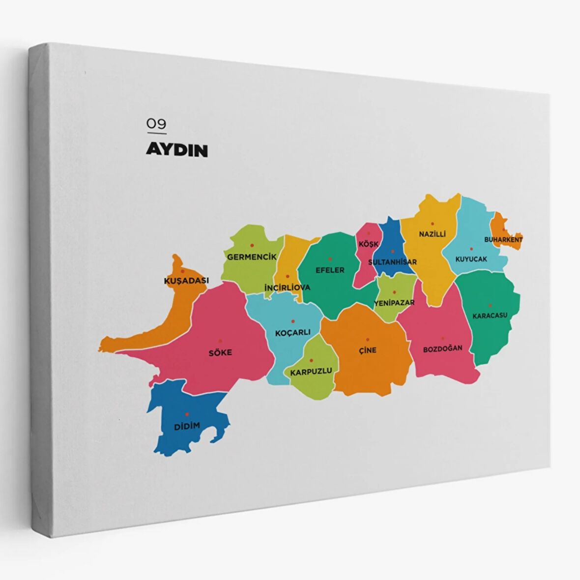 İl ve İlçeler Haritası Aydın, Modern Dekoratif Kanvas Tablo, Duvar Dekoru 1276