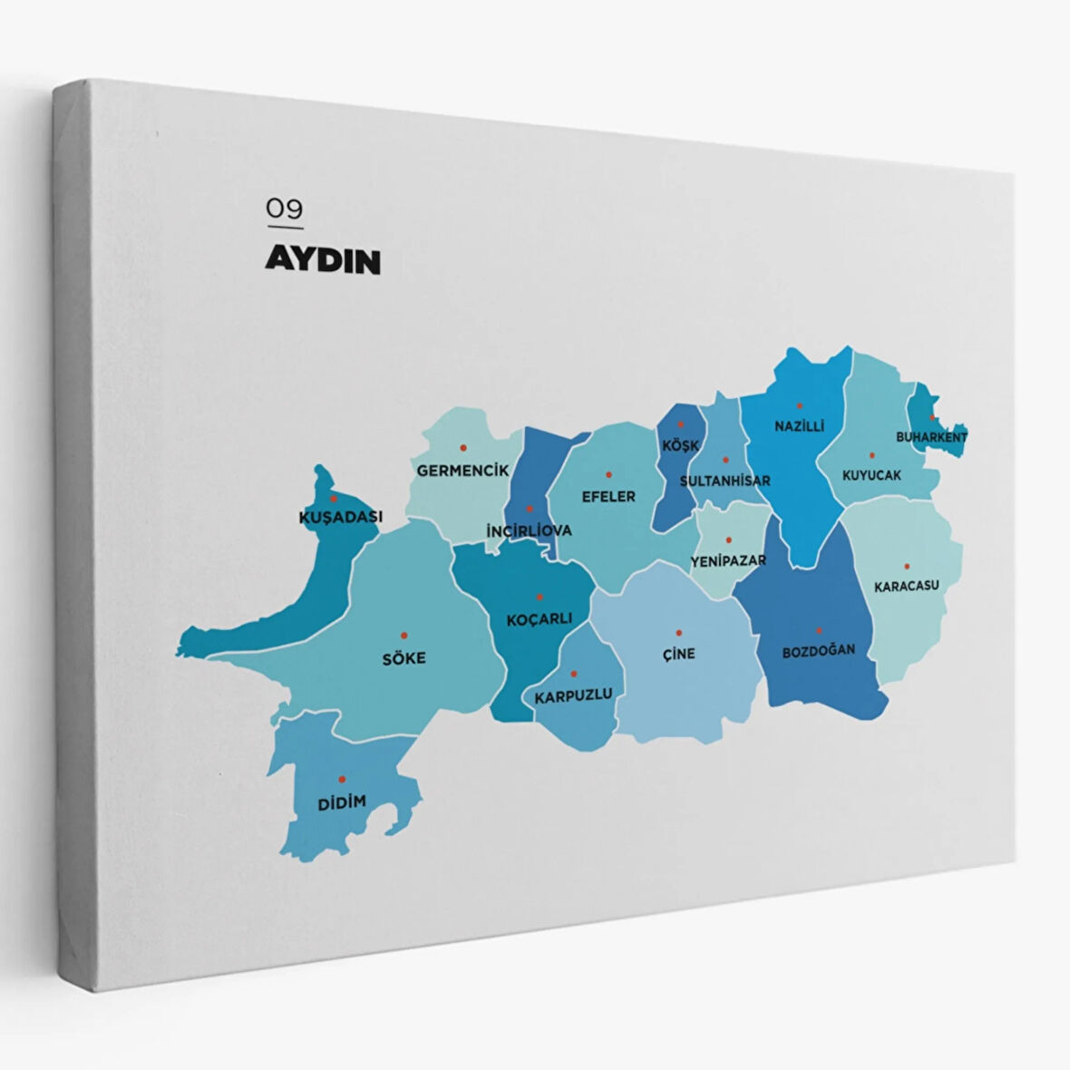 İl ve İlçeler Haritası Aydın, Modern Dekoratif Kanvas Tablo, Duvar Dekoru 1278
