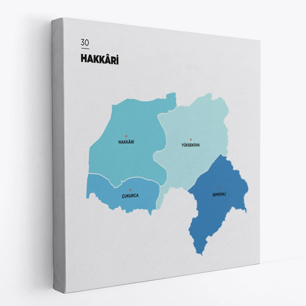 İl ve İlçeler Haritası Hakkari, Modern Dekoratif Kanvas Tablo, Duvar Dekoru 1353