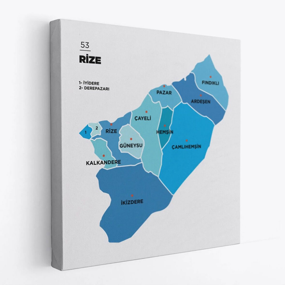 İl ve İlçeler Haritası Rize, Modern Dekoratif Kanvas Tablo, Duvar Dekoru 1441