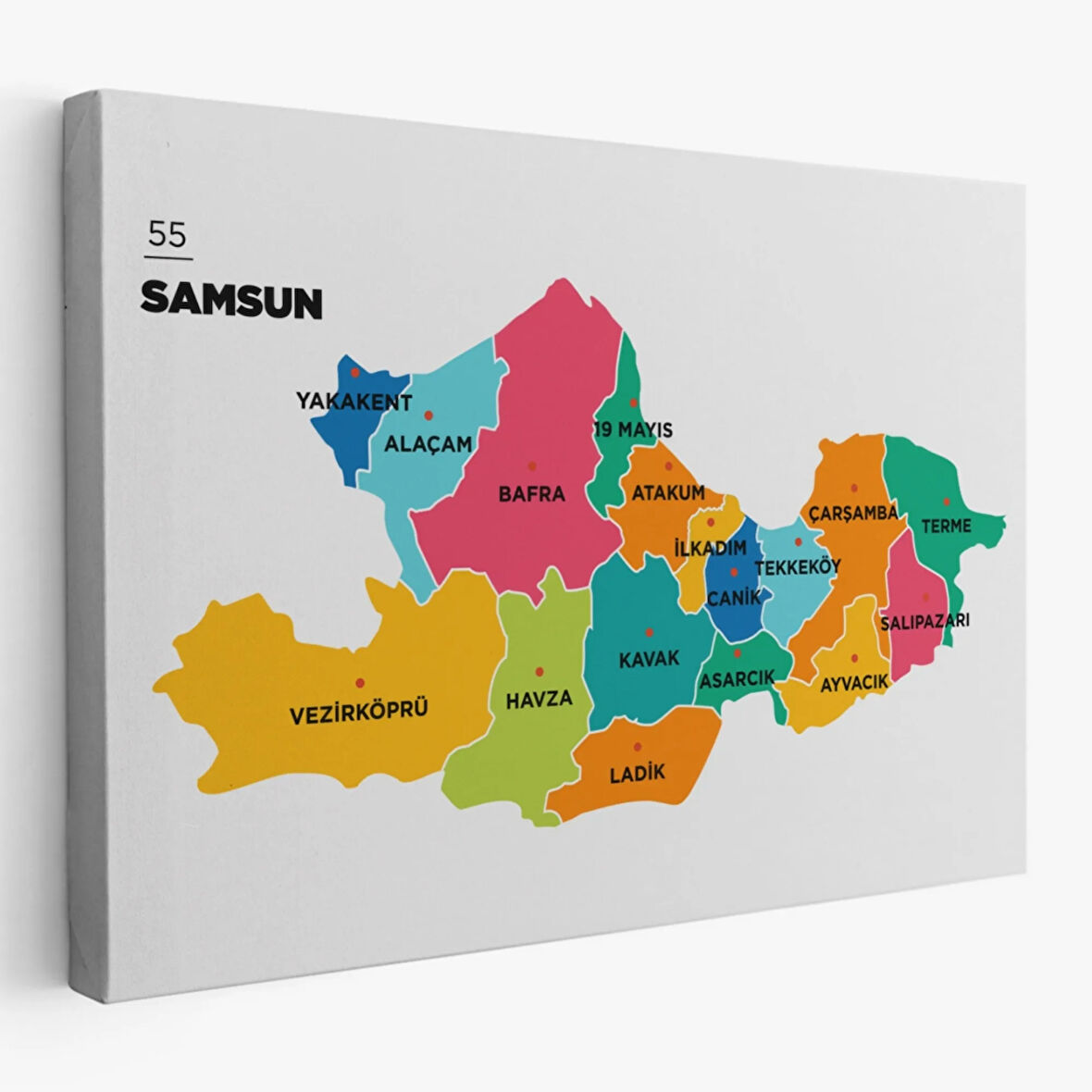 İl ve İlçeler Haritası Samsun, Modern Dekoratif Kanvas Tablo, Duvar Dekoru 1445