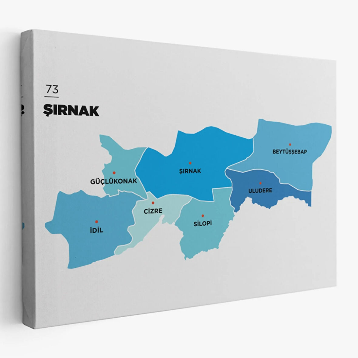 İl ve İlçeler Haritası Şırnak, Modern Dekoratif Kanvas Tablo, Duvar Dekoru 1462