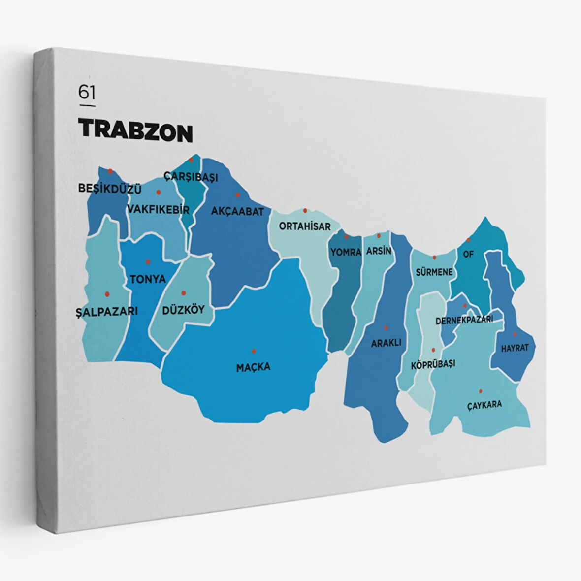 İl ve İlçeler Haritası Trabzon, Modern Dekoratif Kanvas Tablo, Duvar Dekoru 1471
