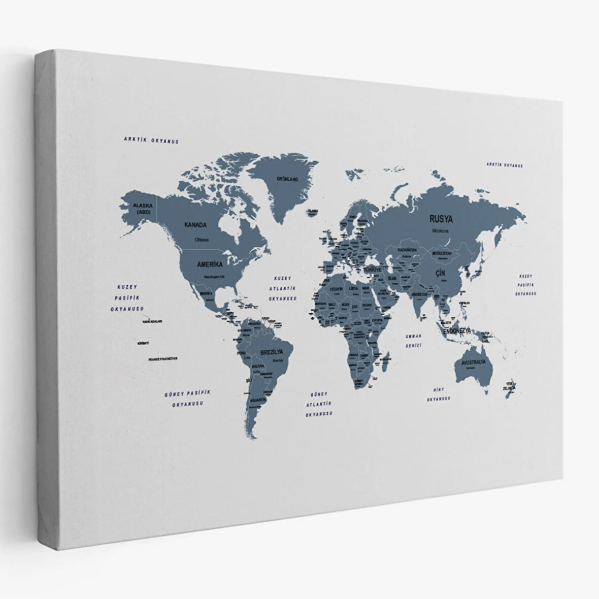 Ülke ve Başkentli Türkçe Dünya Haritası, Modern Dekoratif Kanvas Tablo, Duvar Dekoru 1514