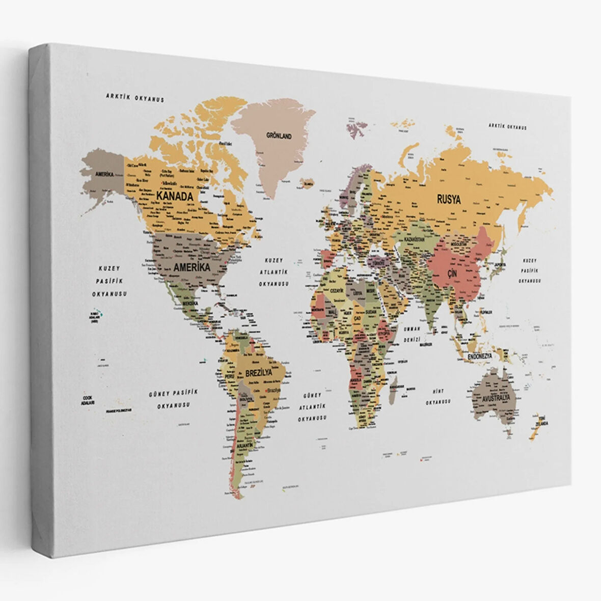 Detaylı ve Eğitici Türkçe Dünya Haritası, Harita Dekoratif Kanvas Tablo, Duvar Dekoru 1621