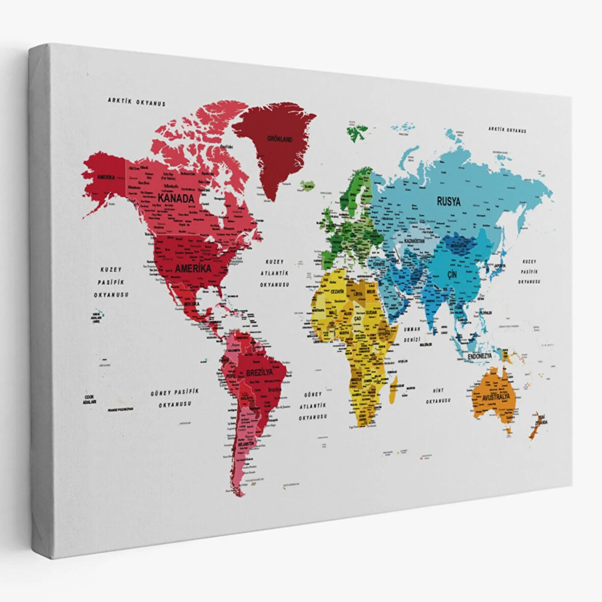 Detaylı ve Eğitici Türkçe Dünya Haritası, Harita Dekoratif Kanvas Tablo, Duvar Dekoru 1633