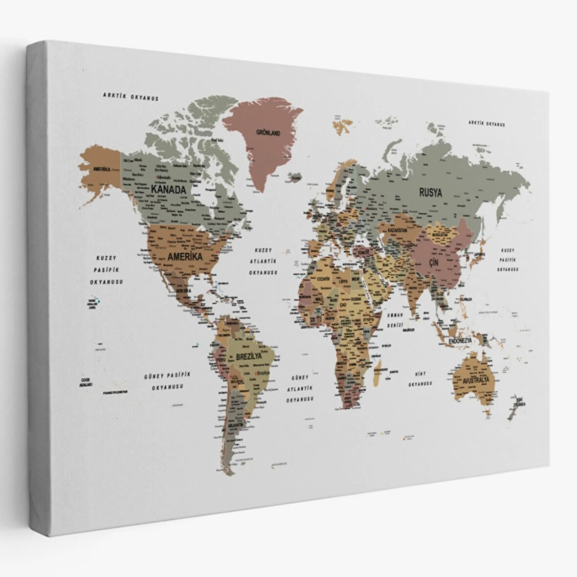 Detaylı Eğitici Türkçe Dünya Haritası Renkli Dekoratif Kanvas Tablo, Duvar Dekoru 1634