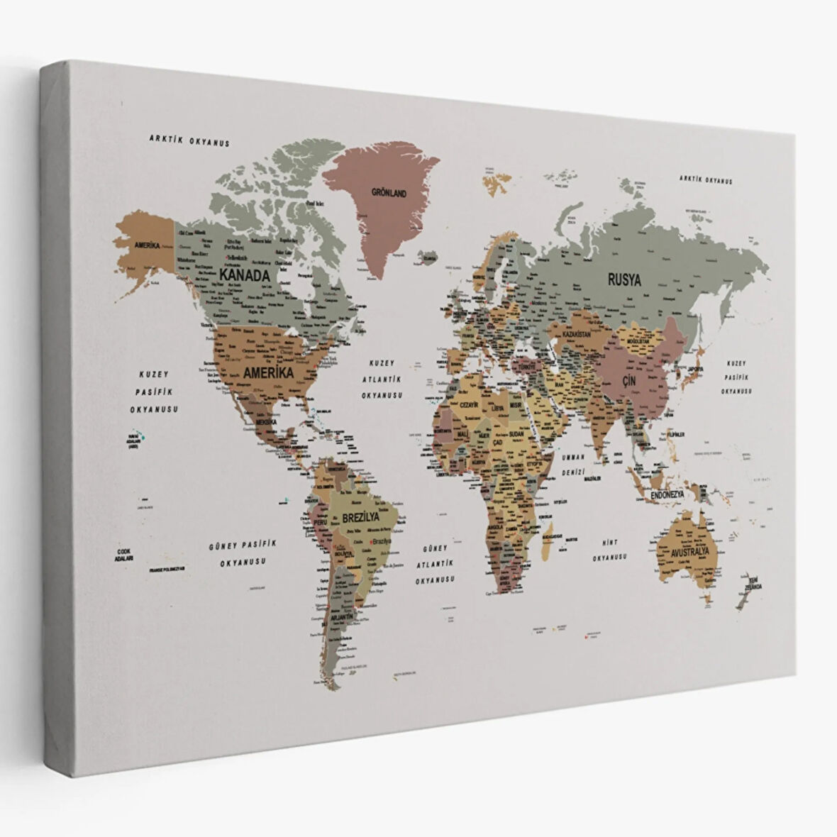 Renkli Zeminli Detaylı Türkçe Dünya Haritası, Harita Dekoratif Kanvas Tablo, Duvar Dekoru 1701