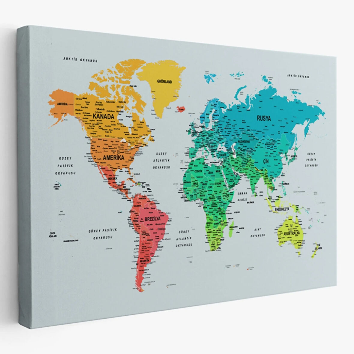 Renkli Zeminli Detaylı Türkçe Dünya Haritası, Harita Dekoratif Kanvas Tablo, Duvar Dekoru 1709