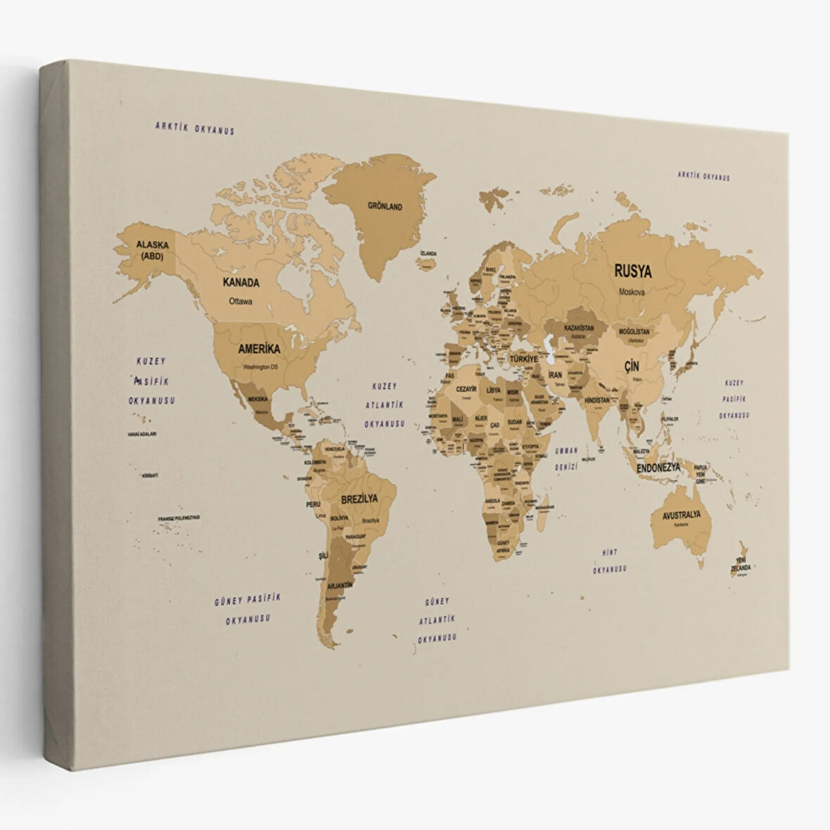 Detaylı Ülke Başkentli Eğitici Türkçe Dünya Haritası Dekoratif Kanvas Tablo, Duvar Dekoru 2618