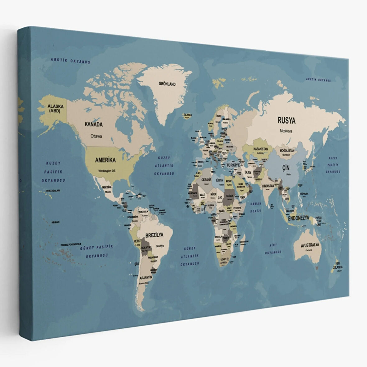 Detaylı Ülke Başkentli Okyanuslu Türkçe Dünya Haritası Dekoratif Kanvas Tablo, Duvar Dekoru 2742