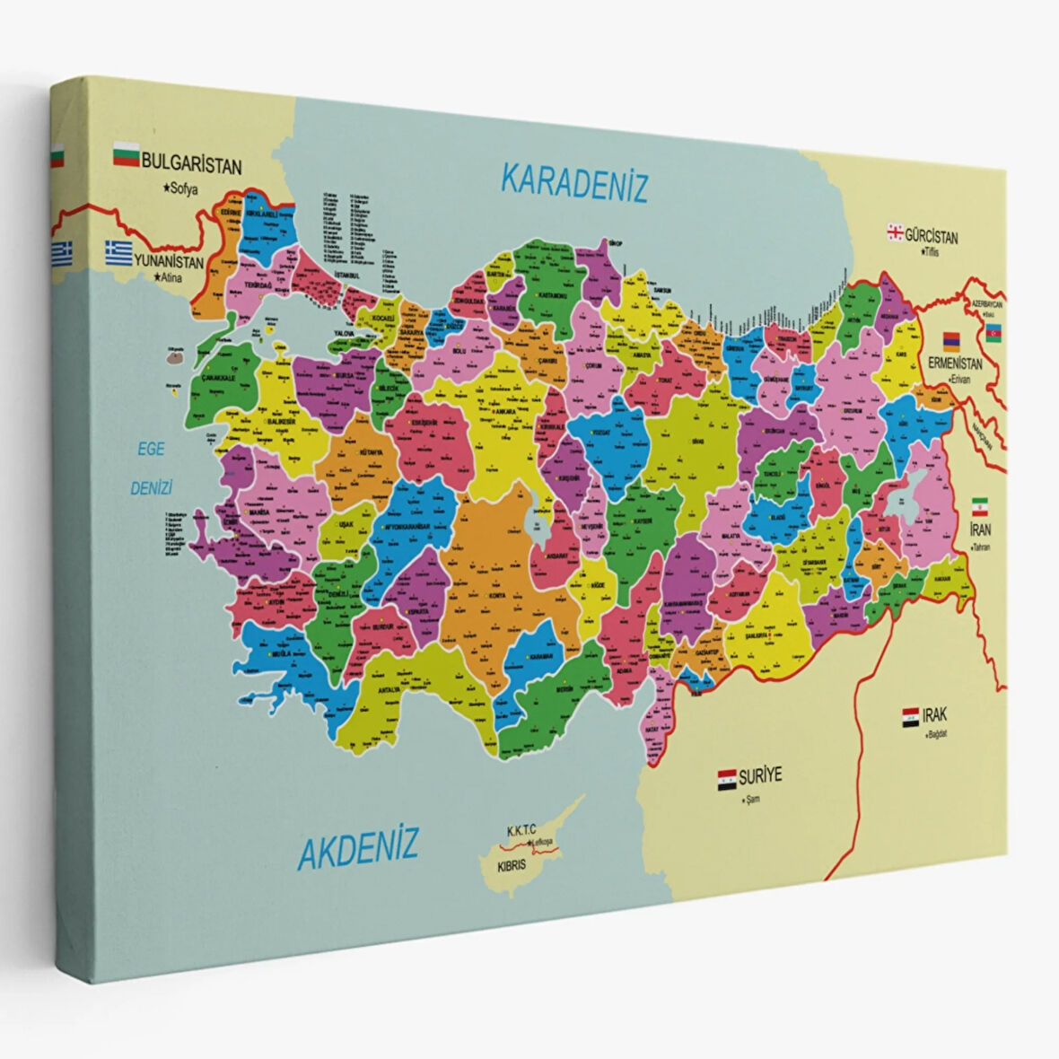 Komşulu İl ve İlçe Detaylı Türkiye Haritası, Harita Dekoratif Kanvas Tablo, Duvar Dekoru 3001
