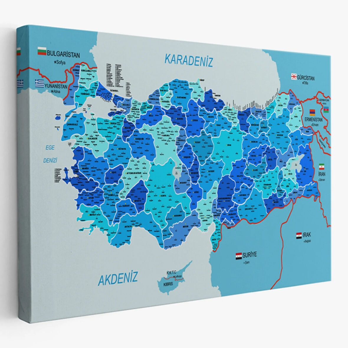 Komşulu İl ve İlçe Detaylı Türkiye Haritası, Harita Dekoratif Kanvas Tablo, Duvar Dekoru 3002