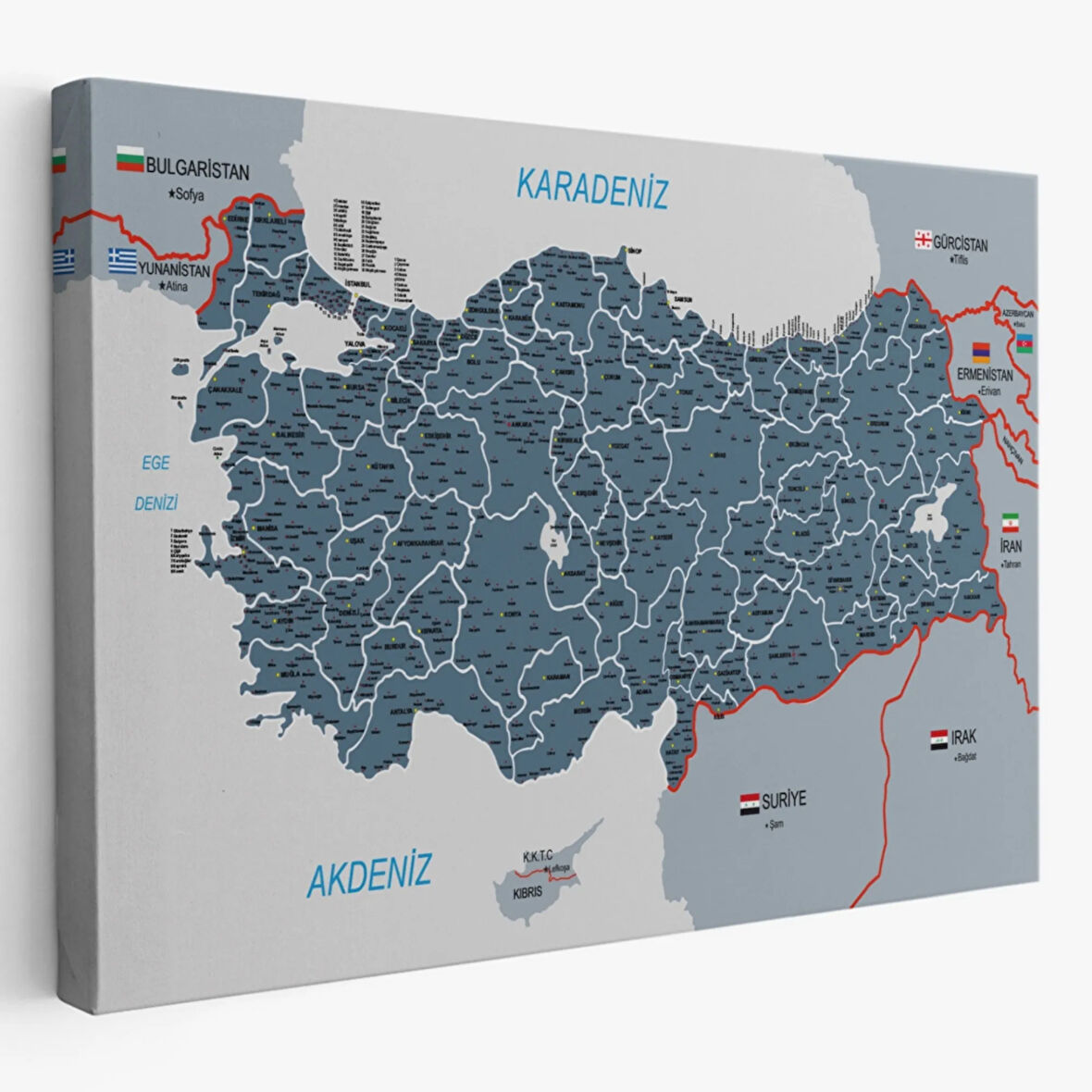 Komşulu İl ve İlçe Detaylı Türkiye Haritası, Harita Dekoratif Kanvas Tablo, Duvar Dekoru 3009