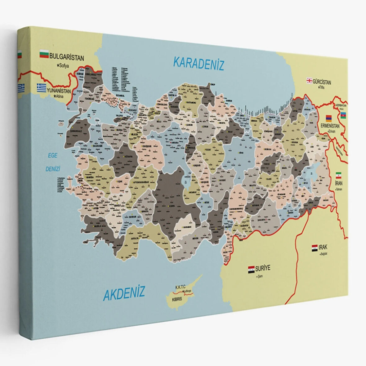 Komşulu İl ve İlçe Detaylı Türkiye Haritası, Harita Dekoratif Kanvas Tablo, Duvar Dekoru 3013