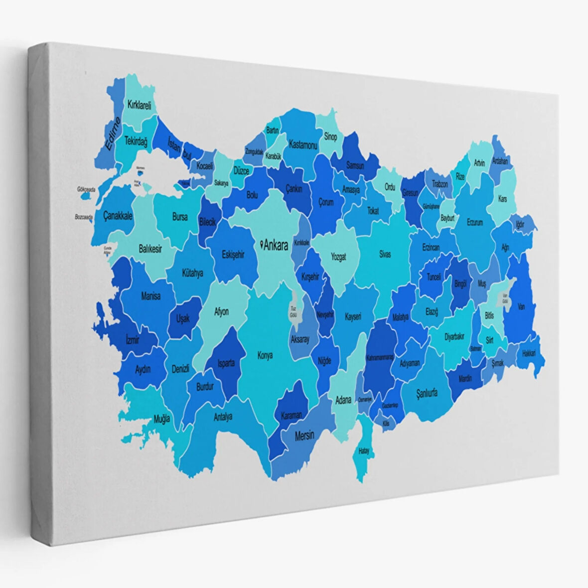 Eğitici Türkiye Haritası, Harita Dekoratif Kanvas Tablo, Duvar Dekoru 3114