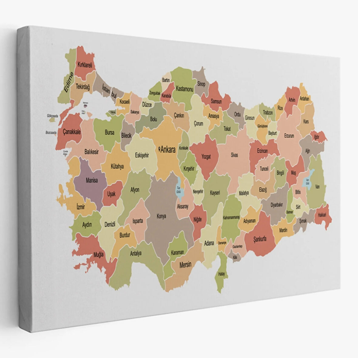 Eğitici Türkiye Haritası, Harita Dekoratif Kanvas Tablo, Duvar Dekoru 3129