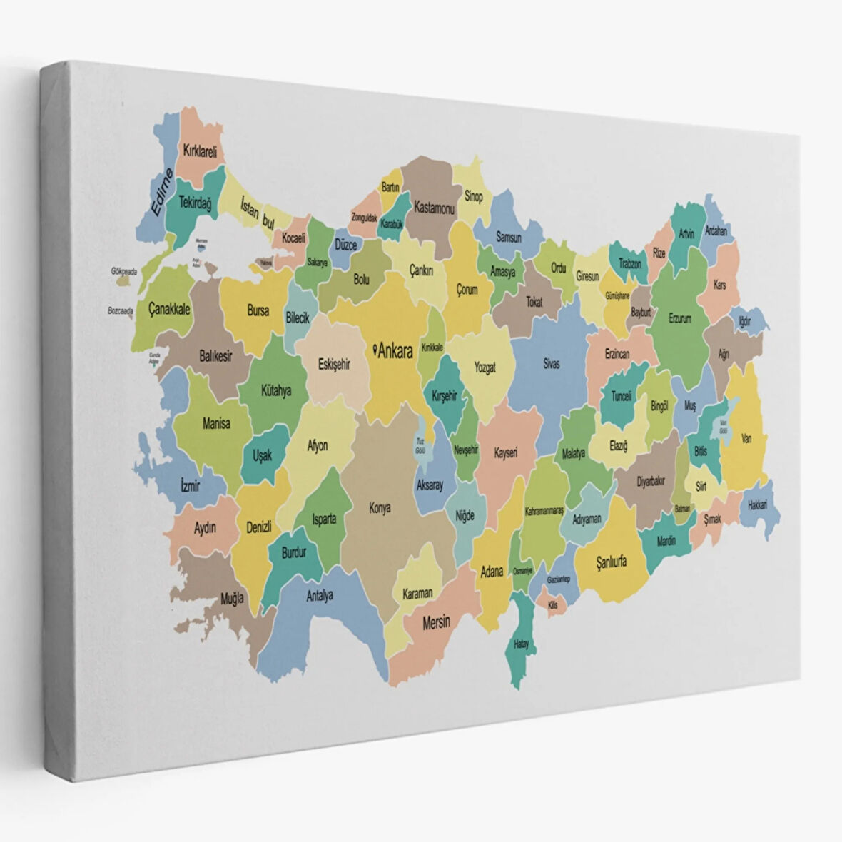 Eğitici Türkiye Haritası, Harita Dekoratif Kanvas Tablo, Duvar Dekoru 3130