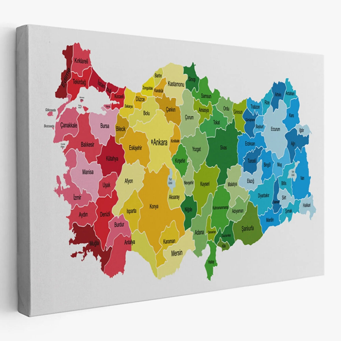 Eğitici Türkiye Haritası, Harita Dekoratif Kanvas Tablo, Duvar Dekoru 3133