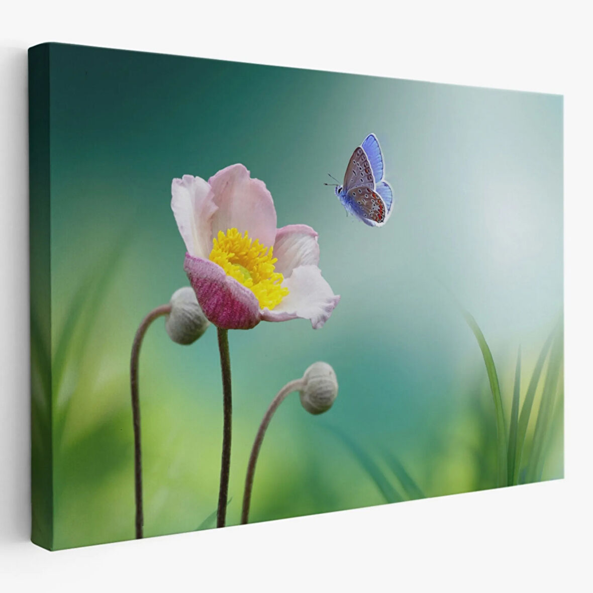 Kelebek ve Zarif Çiçek Dekoratif Kanvas Tablo, Duvar Dekoru 3579