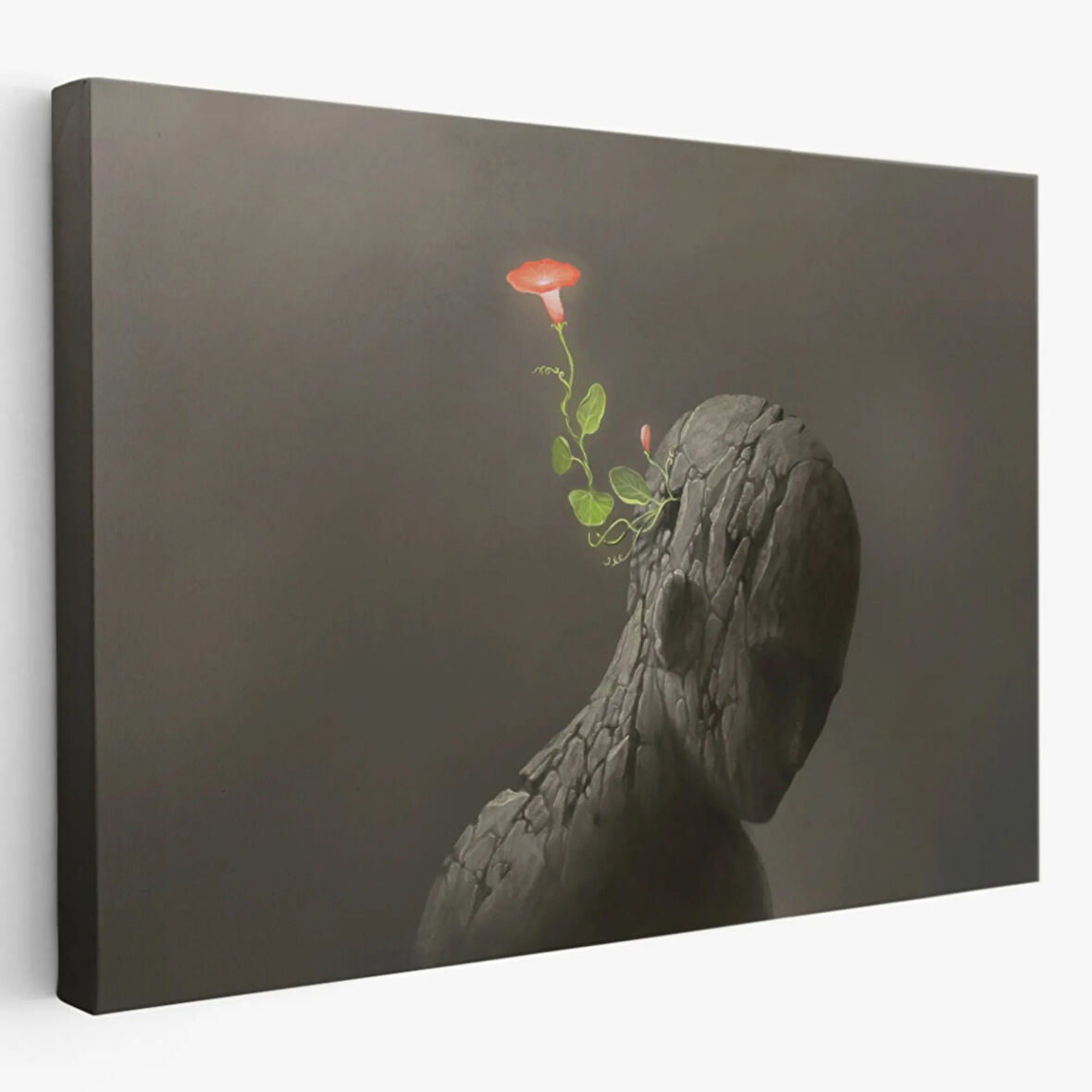 Hayal Gücü ve Zıtlık Dekoratif Kanvas Tablo, Duvar Dekoru 3684