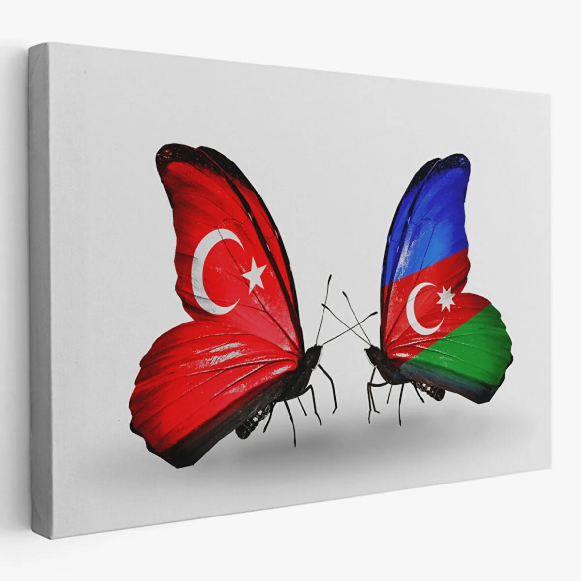 Türkiye ve Azerbaycan Dekoratif Kanvas Tablo, Duvar Dekoru 6501