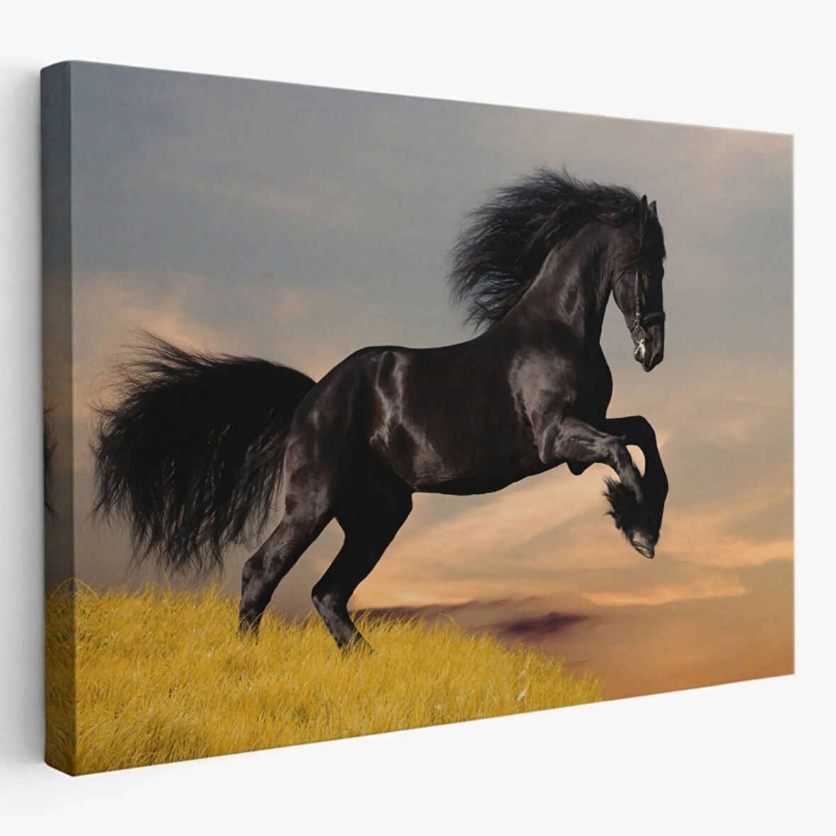 Şahlanan Siyah At Dekoratif Kanvas Tablo, Duvar Dekoru 6613