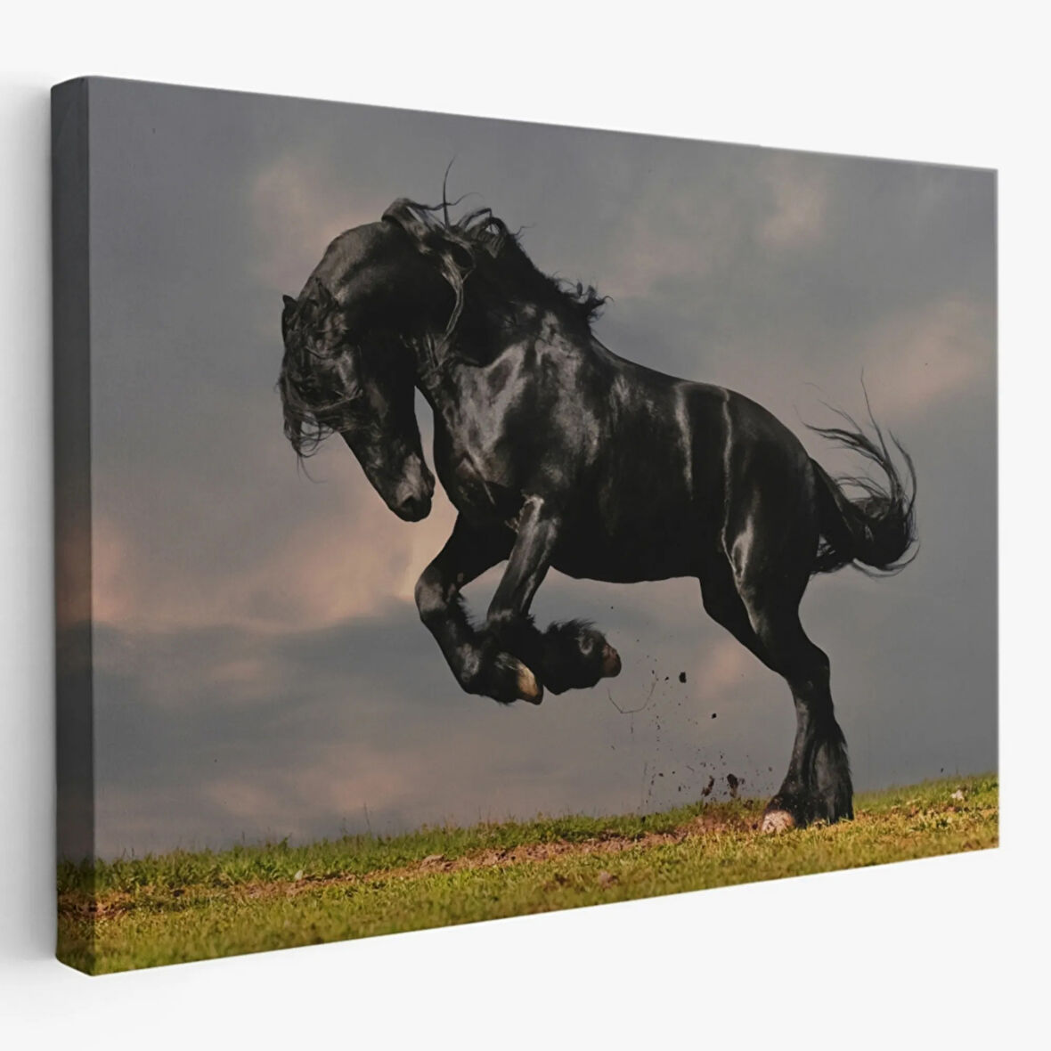 Şahlanan Siyah At Dekoratif Kanvas Tablo, Duvar Dekoru 6620