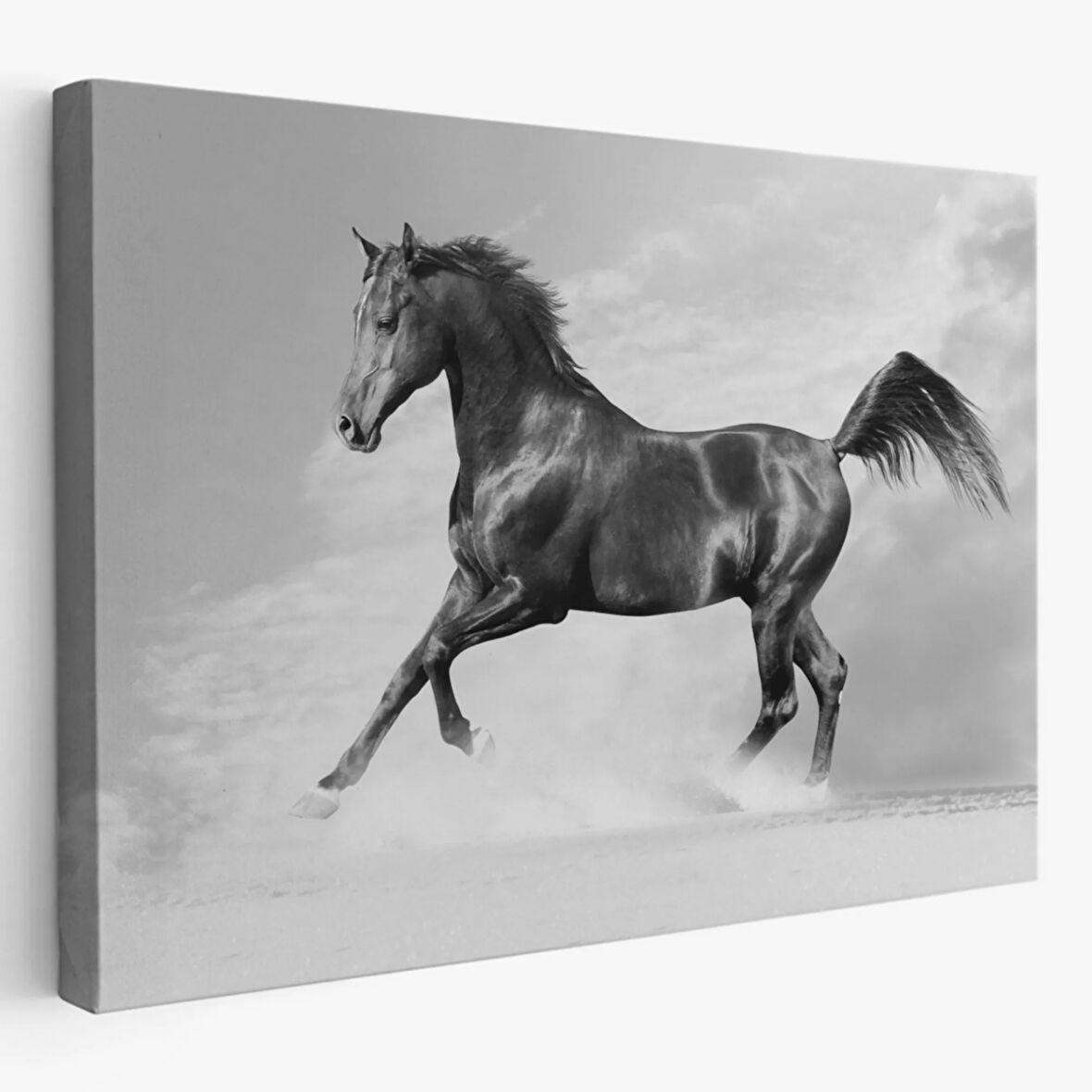 Asil Siyah At Dekoratif Kanvas Tablo, Duvar Dekoru 6623