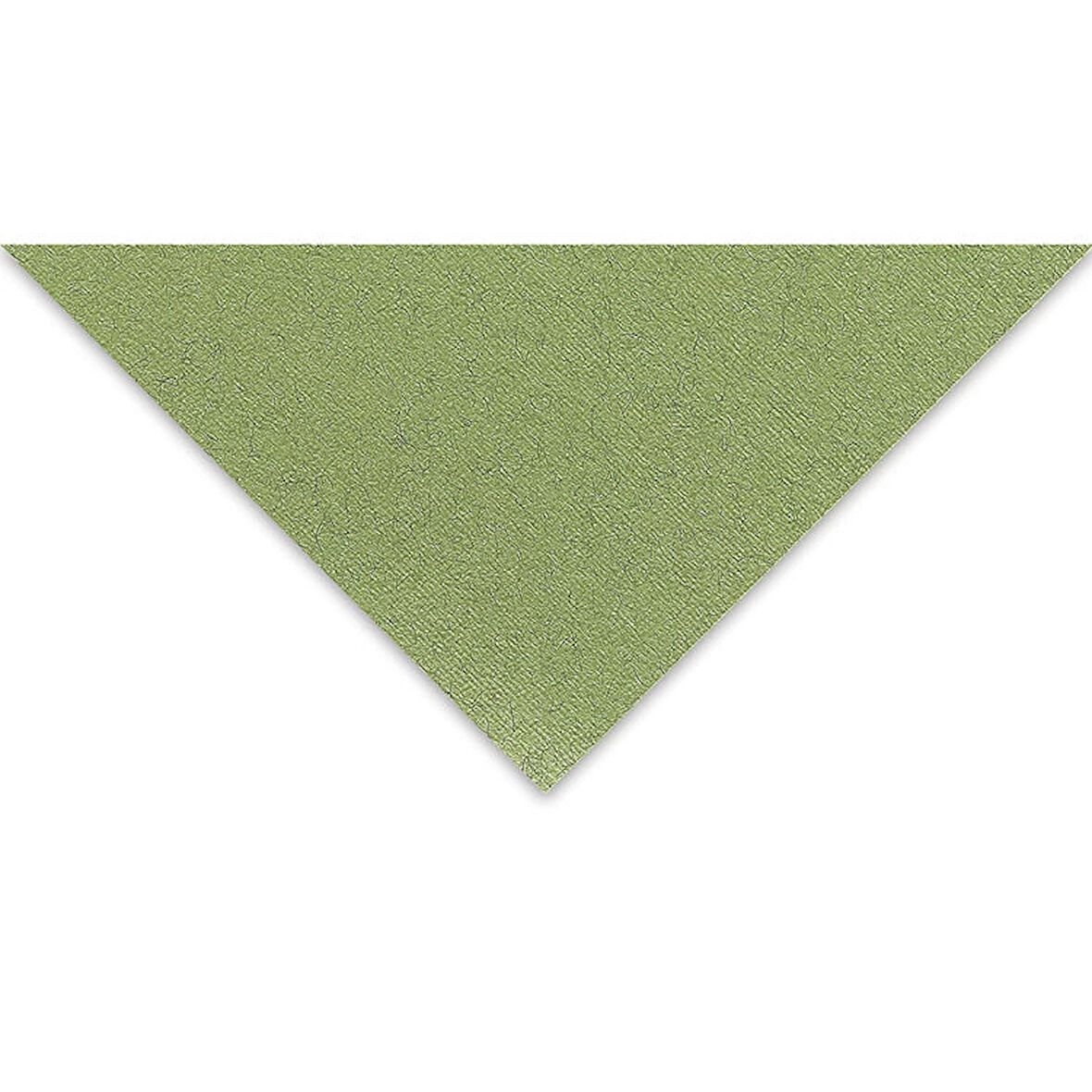 Supertrend Tiziano Çok Amaçlı Fon Kartonu 160 gr. 50x65 cm 5'li Paket YOSUN - MUSCHIO