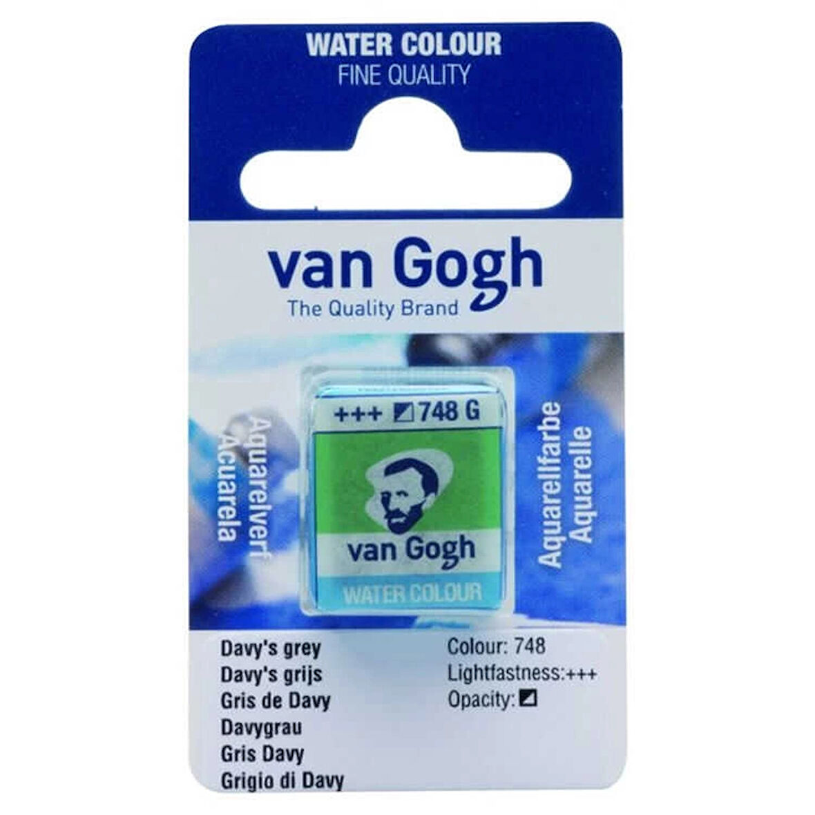 Supertrend Van Gogh 1/2 Tablet Sulu Boya 748 Davy's Grey