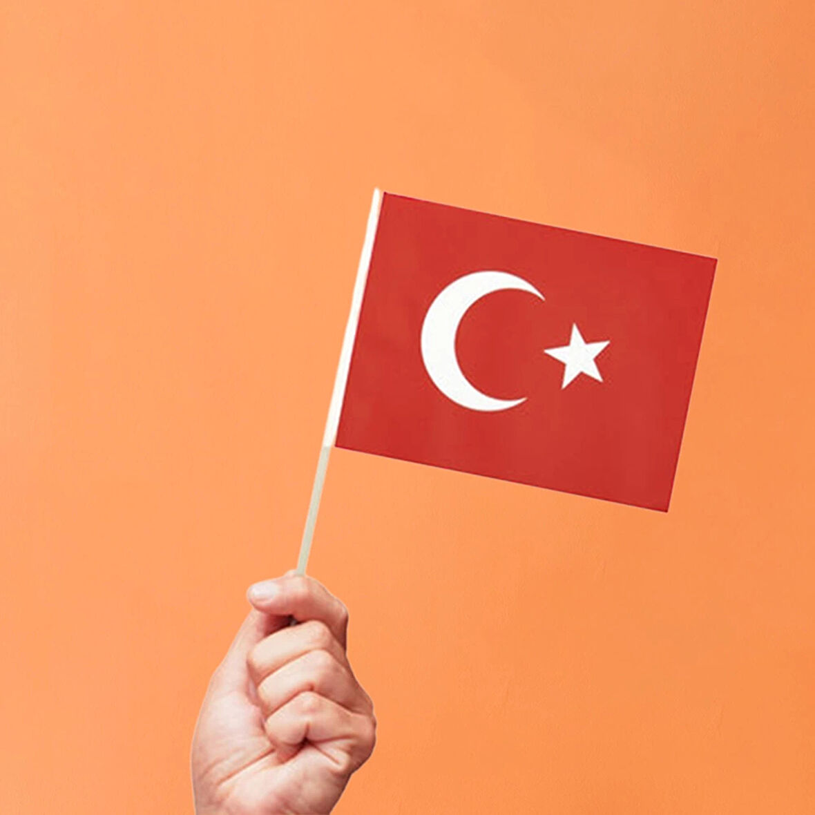 Ay Yıldız Çıtalı Bayrak 80'li