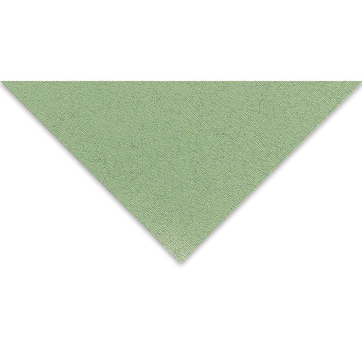 Supertrend Tiziano Çok Amaçlı Fon Kartonu 160 gr. 50x65 cm 5'li Paket ADAÇAYI - SALVIA