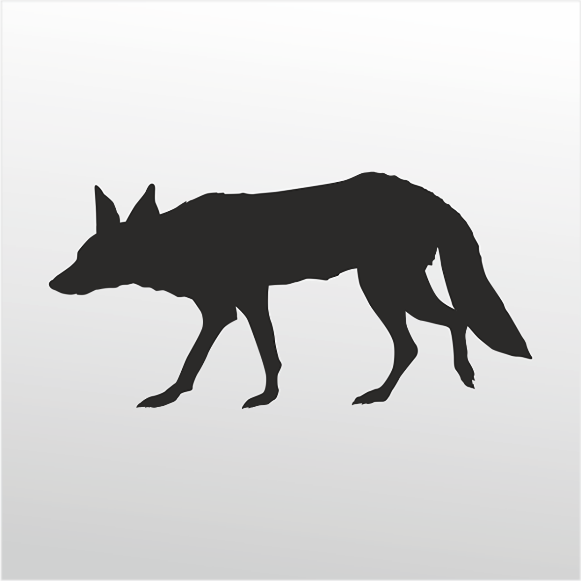 Folyo Sticker Tilki