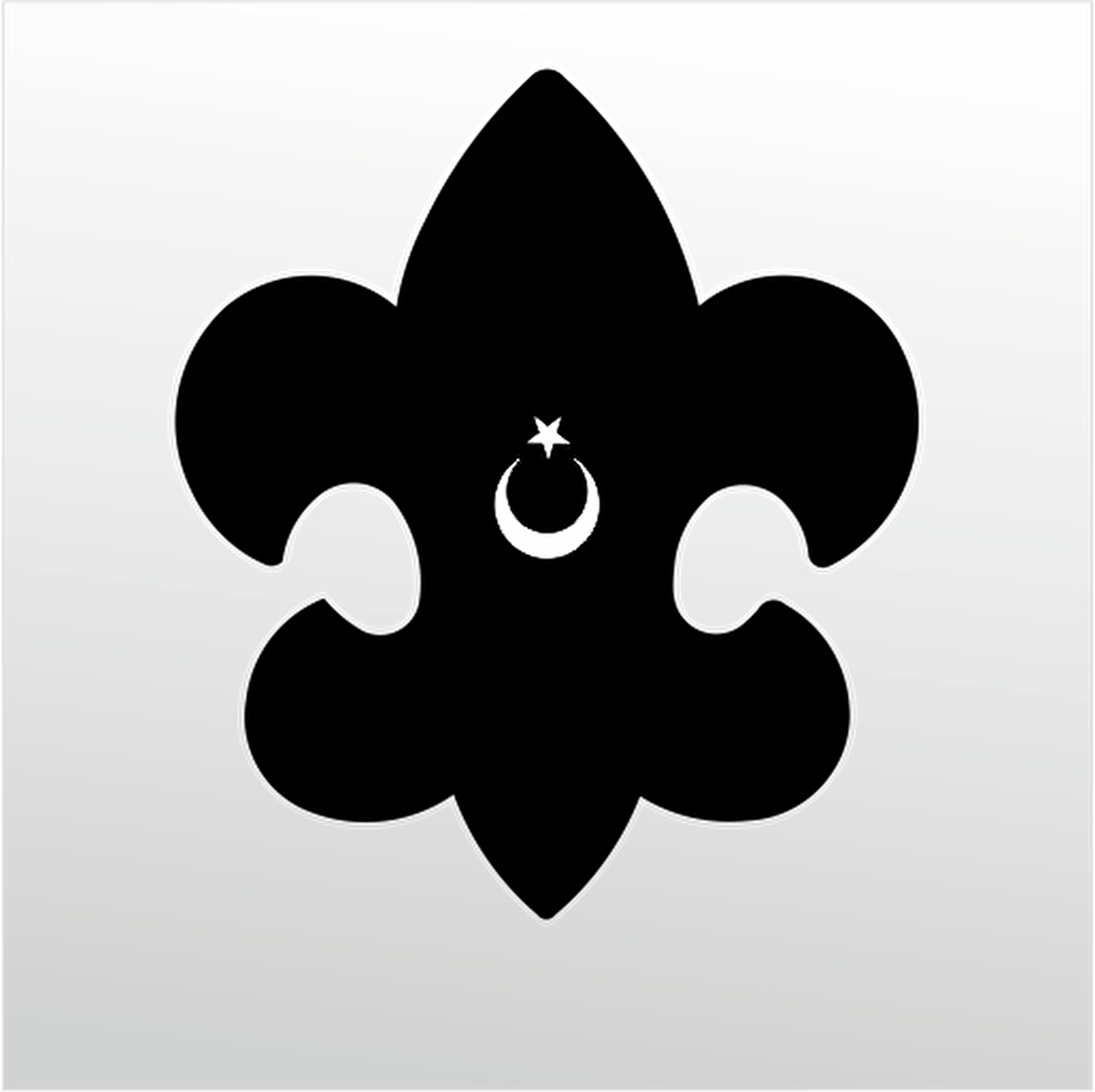 Folyo Sticker Türk Bayrağı