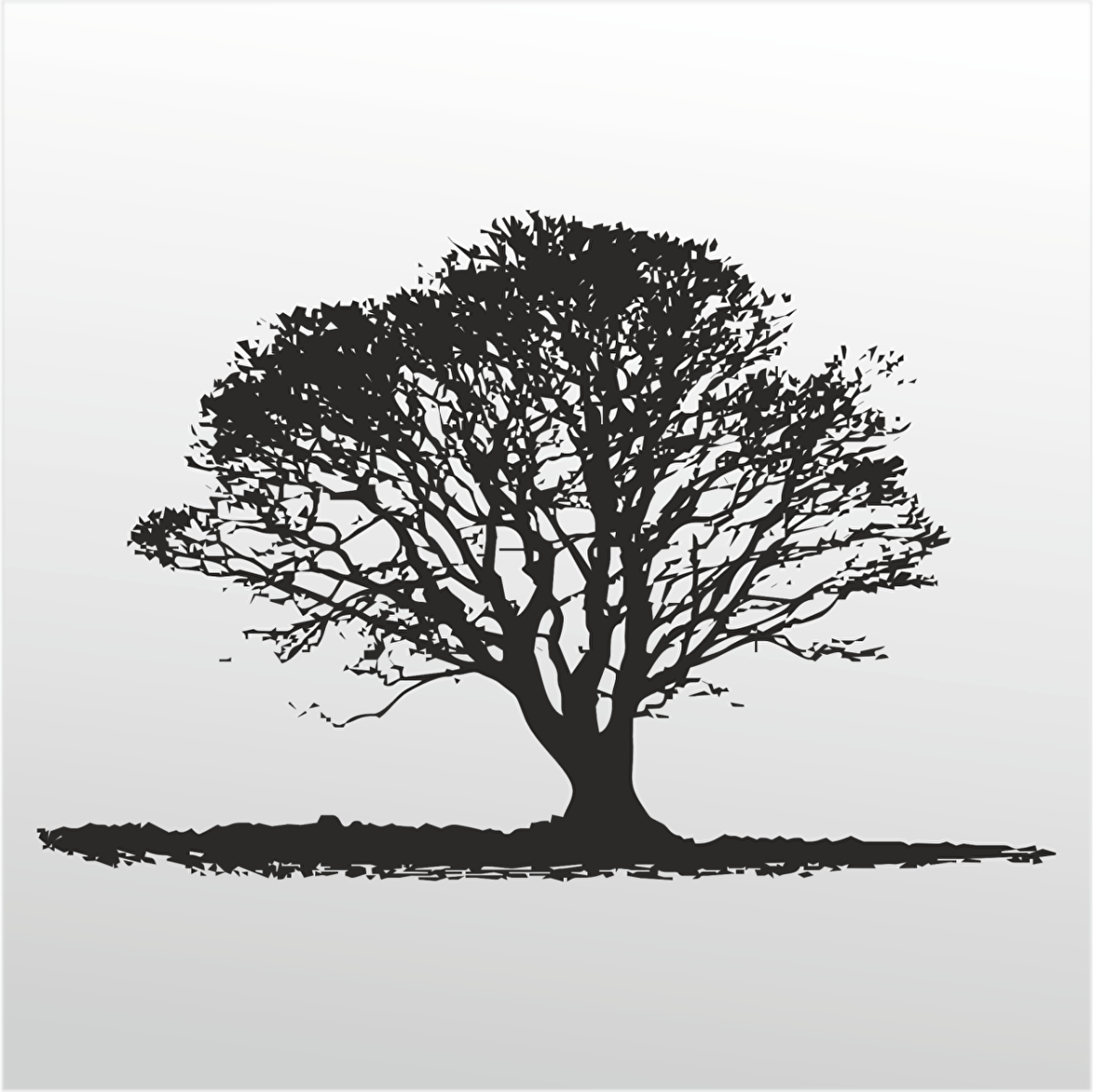 Folyo Sticker Ağaç