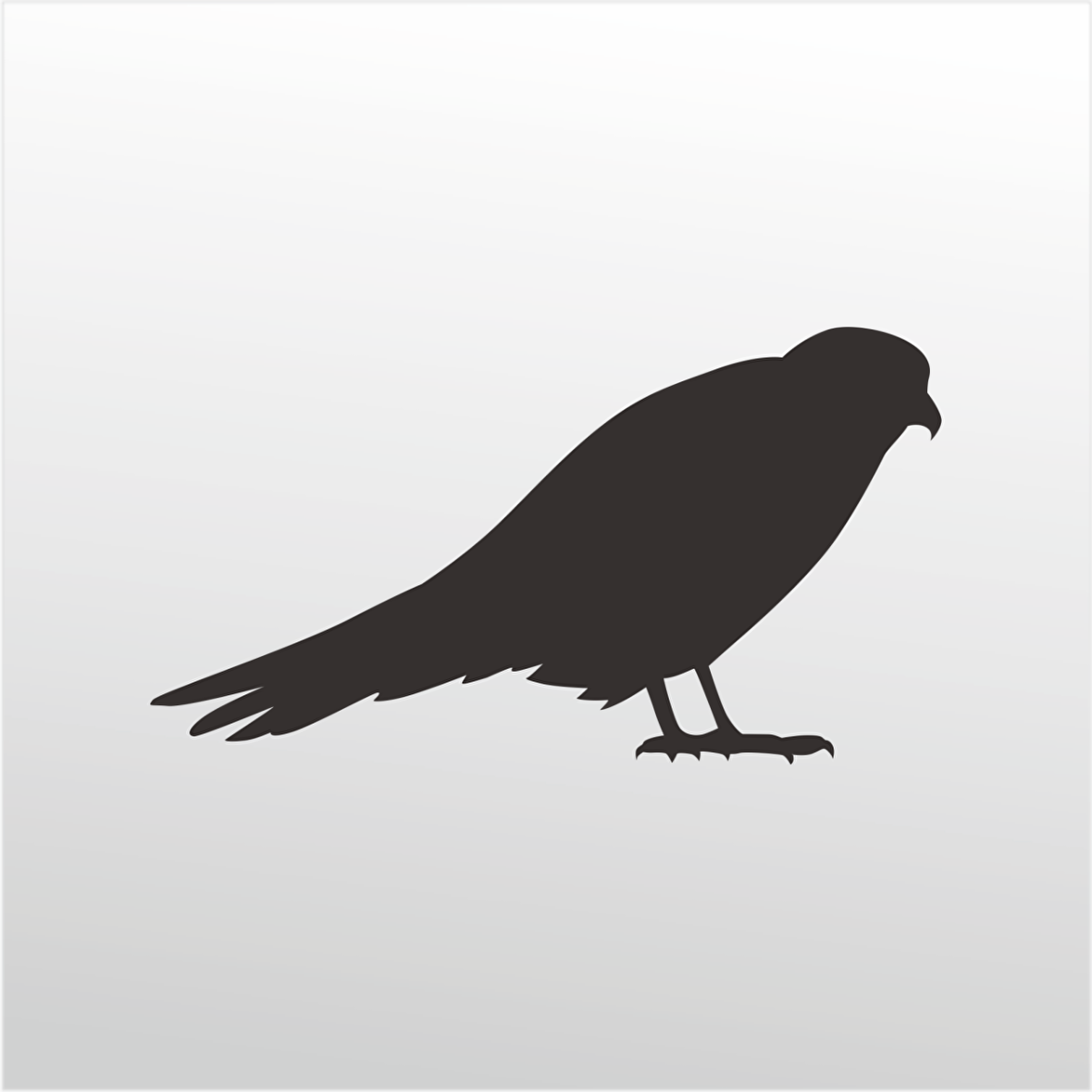 Folyo Sticker Arı Kuşu