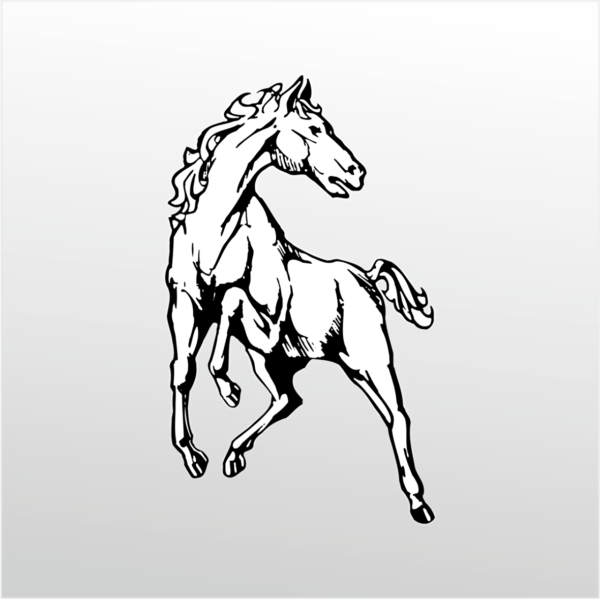 Folyo Sticker At