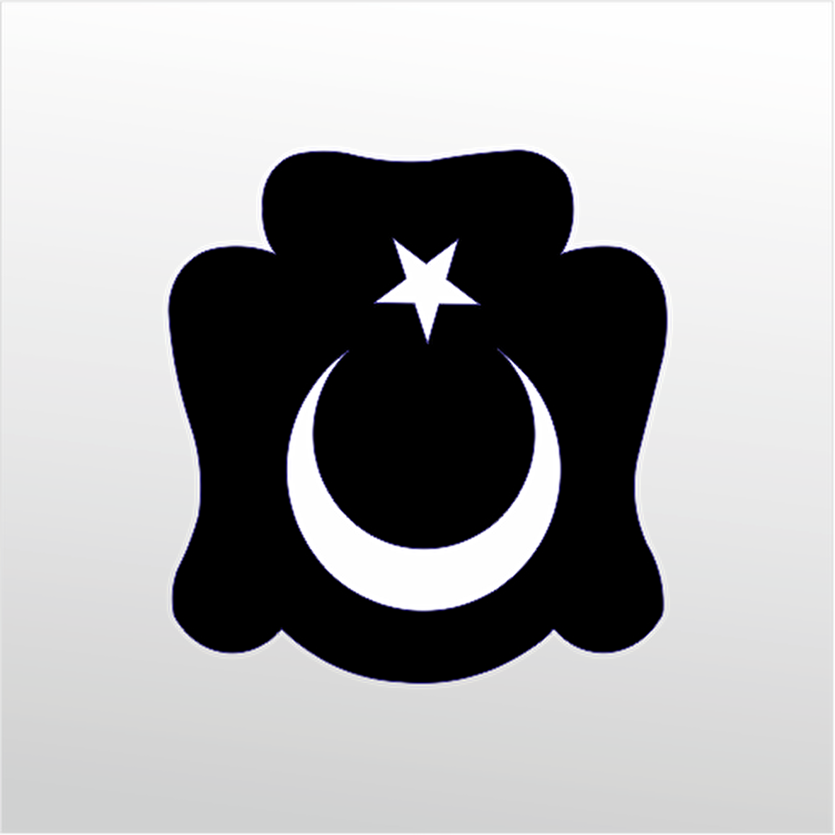 Folyo Sticker Ay Ve Yıldız