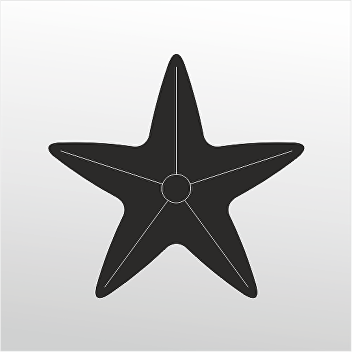 Folyo Sticker Deniz Yıldızı