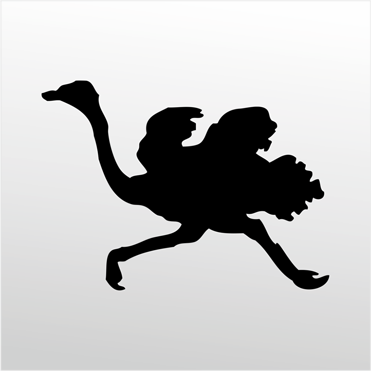 Folyo Sticker Deve Kuşu