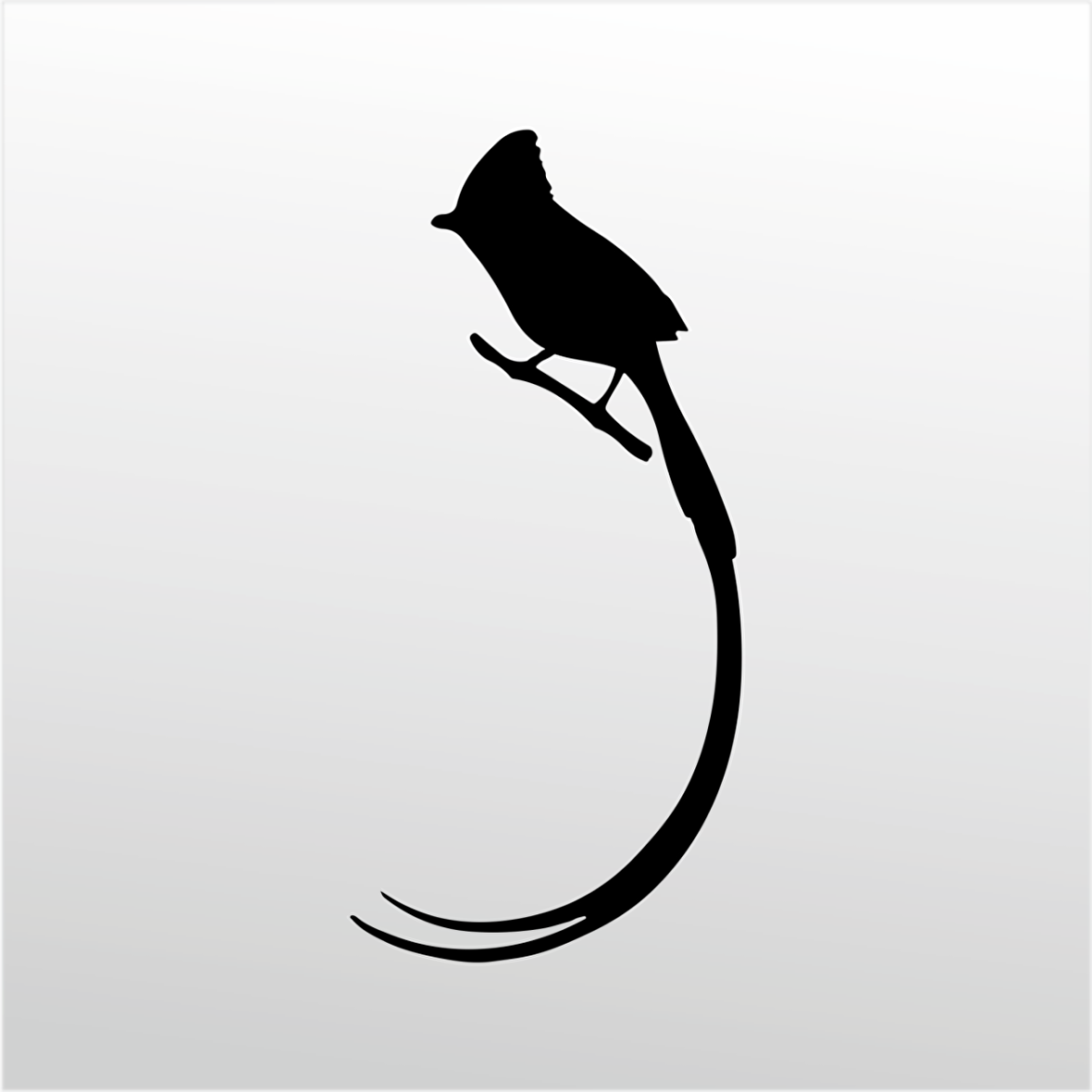 Folyo Sticker Hint Bülbülü