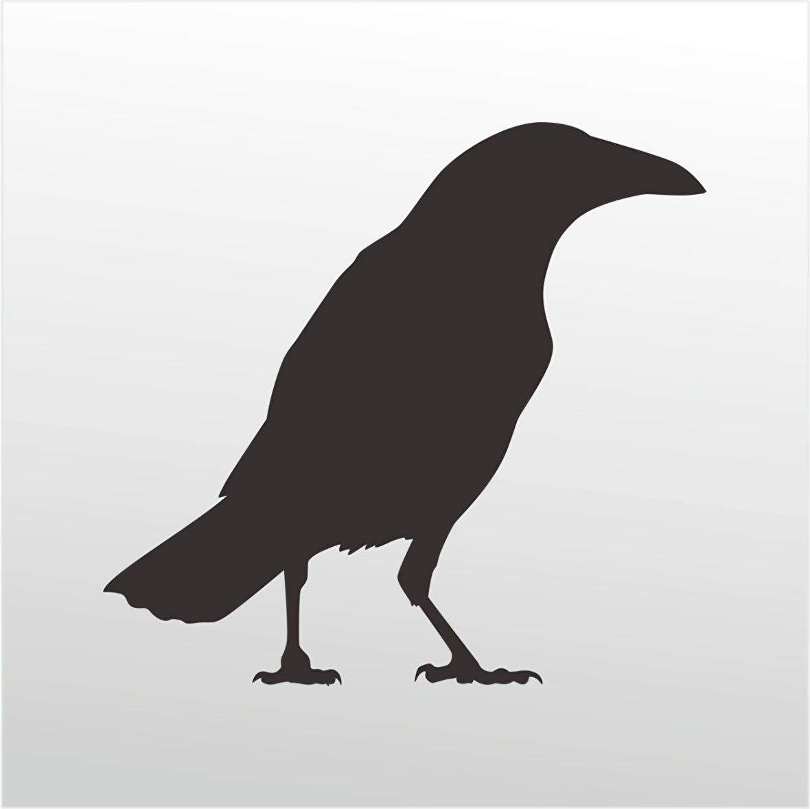 Folyo Sticker Karga