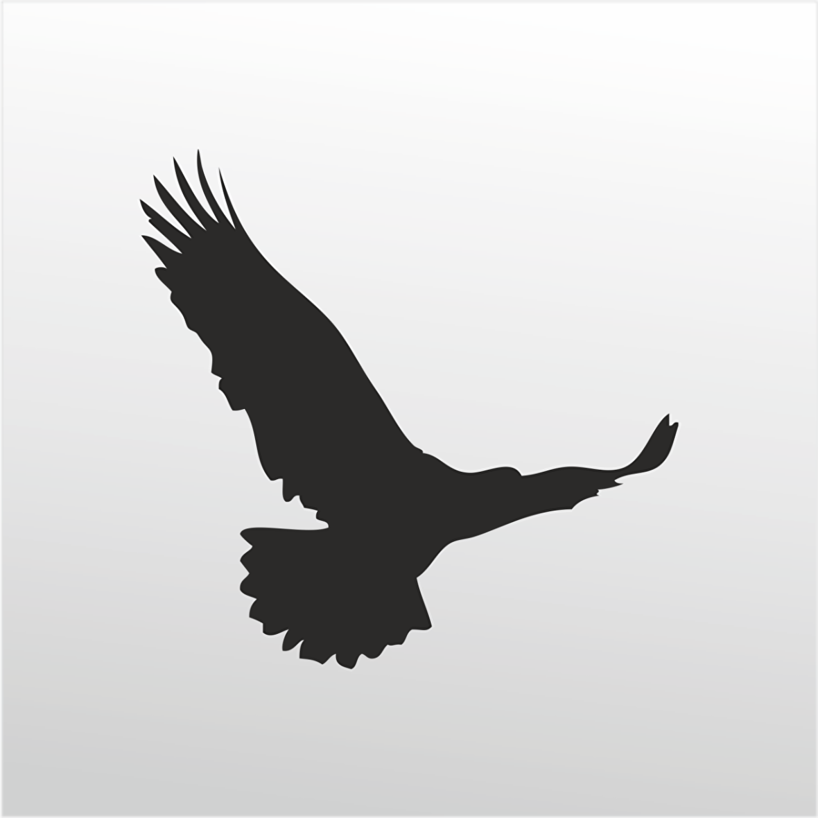 Folyo Sticker Kartal