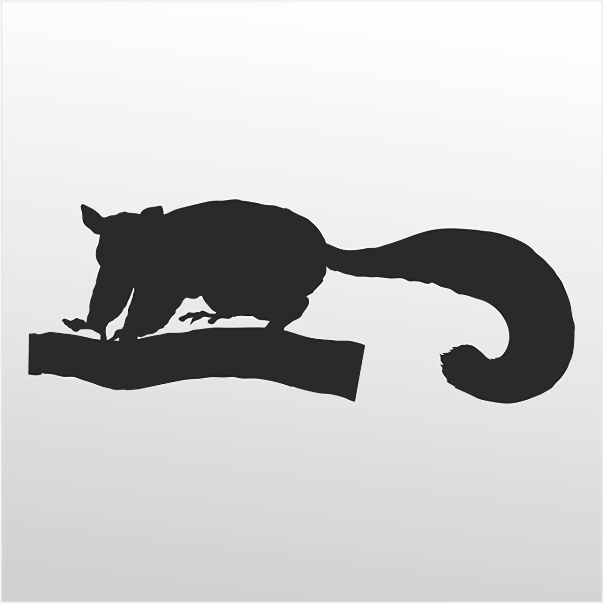 Folyo Sticker Kokarca