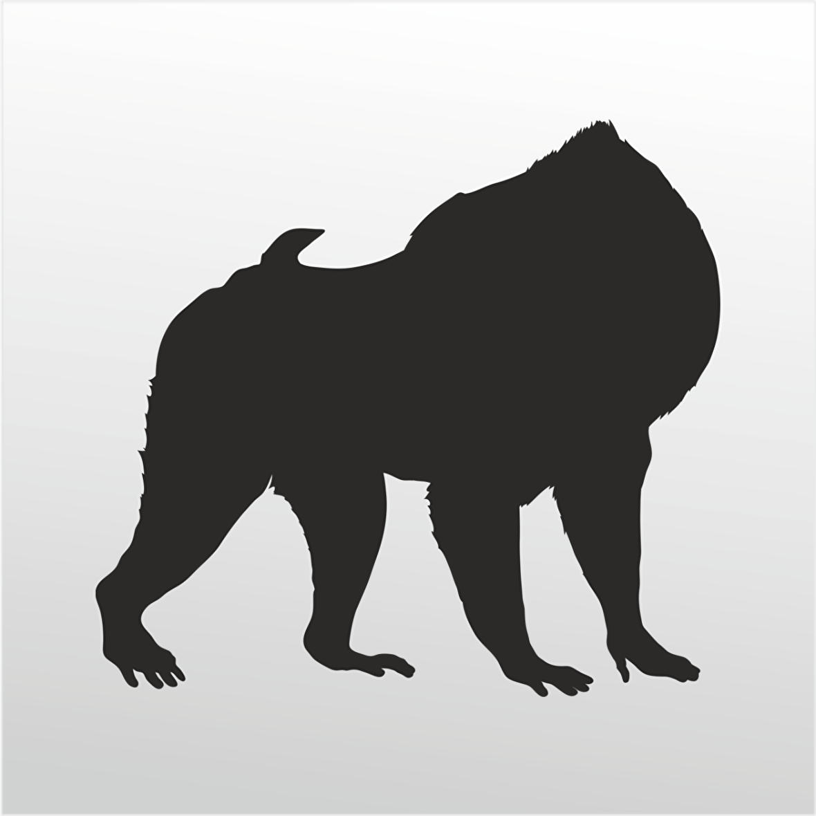 Folyo Sticker Orangutan