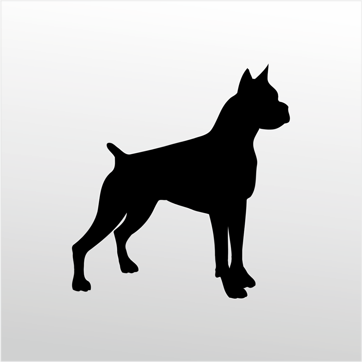 Folyo Sticker Pitbull