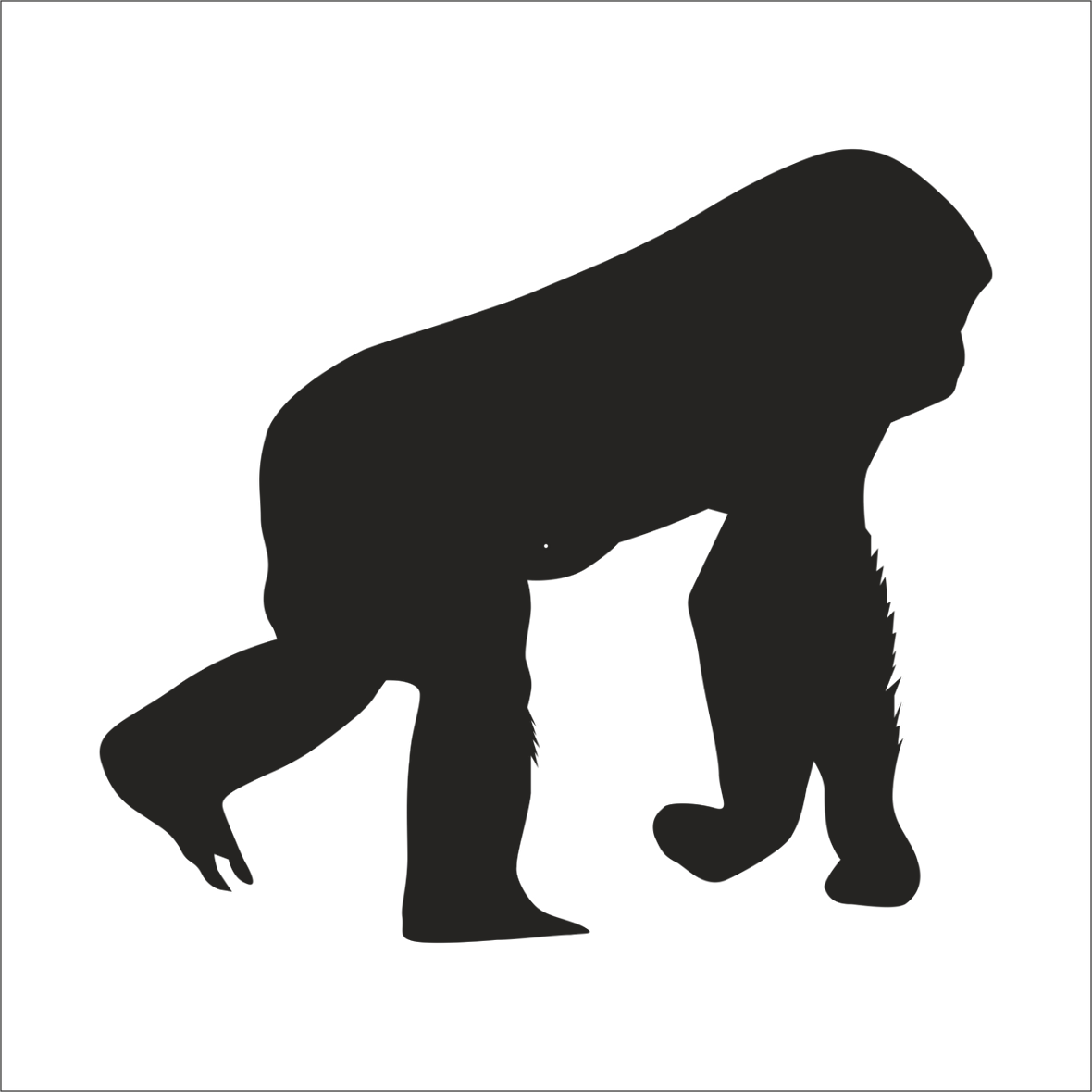 MAYMUN  FOLYO STİCKER